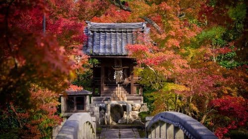 De Must-Do Kyoto Walk: Geheime Zen, schilderachtige wonderen & tempeldagtochten