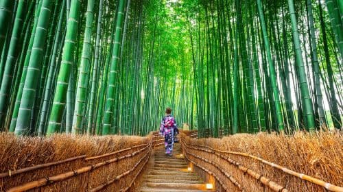 Togetsukyo Bridge Dagtours