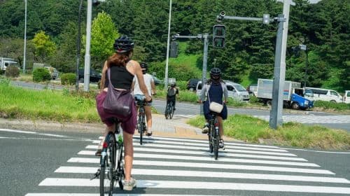 Tokyo : visite guidée en vélo électrique des sites incontournables et des joyaux cachés