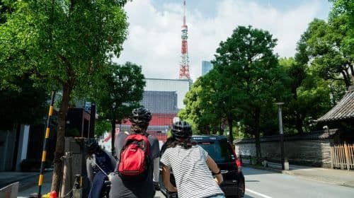 Tokyo : visite guidée en vélo électrique des sites incontournables et des joyaux cachés