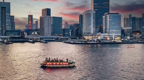 Tokyo Bay: Cruise with Japan Show & Sukiyaki/Beer Option Day Tours