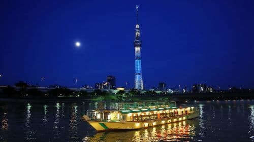 Tokyo Bay: Traditional Japanese Yakatabune Dinner Cruise Day Tours