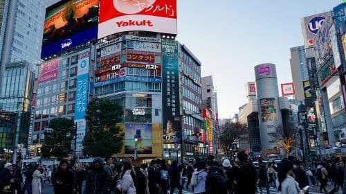 Tokyo Harajuku Tour: From Meiji Park to Takeshita Street to Shibuya Crossing Day Tours