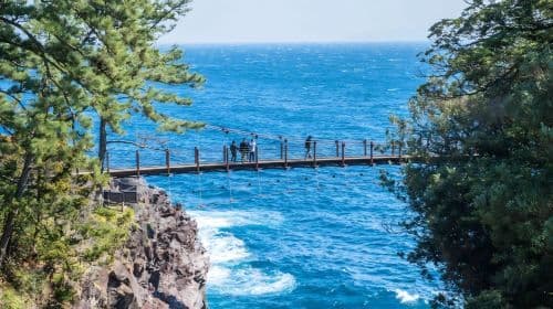 Excursión de 1 día a Tokyo Izu con billete de tren con vistas al mar|Costa Jogasaki|El hotel ofrece servicio de recogida|grupo de 9 Excursiones de un día
