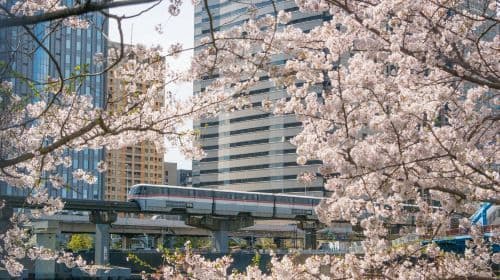 Tokyo Monorail One-Way Ticket (Haneda Airport ⇄ Hamamatsucho)