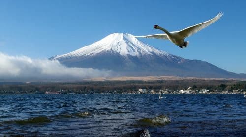 Tokyo Mount Fuji 1-day tour: Optional 9-person small group + popular twin lakes + trending photo spots + outlet mall