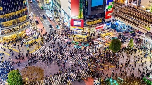Privé rondrit door Tokyo per auto/busje met Engelssprekende chauffeur