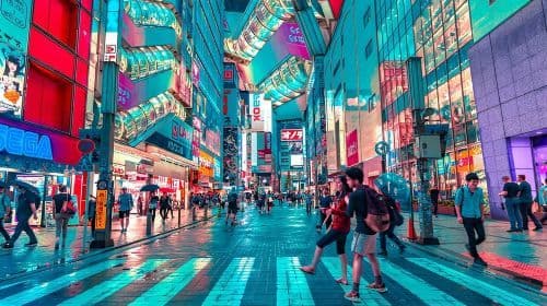 Private Tokyo-Rundfahrt mit dem Auto/Van und englischsprachigem Chauffeur