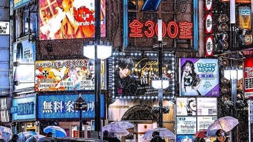 Tokyo Private Tour English Driver