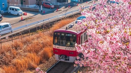 Tour privado por Tokio con conductor de habla inglesa