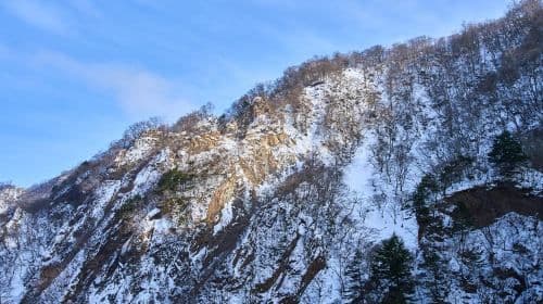Tokio nach Nikko: Maßgeschneiderter Tagesausflug Tagestouren