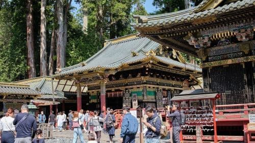 Da Tokyo a Nikko: Tour giornaliero personalizzato