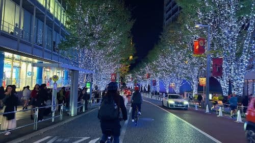 Tokyo: 2-Hour Night Bike Tour of the City's Hidden Gems Day Tours