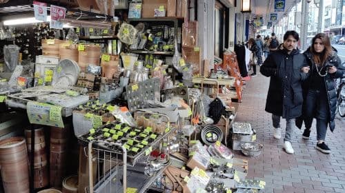 Tokyo: Asakusa & Kanda Myojin & Ueno Guided Tour Day Tours