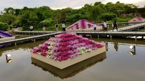 Tokyo: Ashikaga Flower Park with Entry Ticket