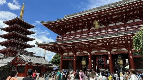Tokio: Całodniowa wycieczka / ceremonia parzenia herbaty, lunch w formie bufetu i rejs