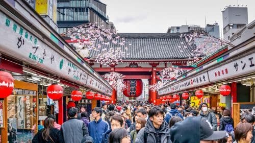 Tokio: Tour de medio día por la mañana en grupo pequeño