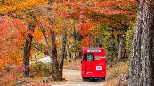 Tóquio: Vila Histórica de Shuzenji com Vistas Secretas do Mt. Fuji (Saindo de Tóquio, Especial de Outono) Passeios de Dia