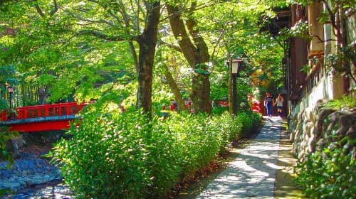 Tokio: Historyczna wioska Shuzenji z ukrytymi widokami na Mt. Fuji (z Tokio, oferta specjalna na jesień) – wycieczki jednodniowe