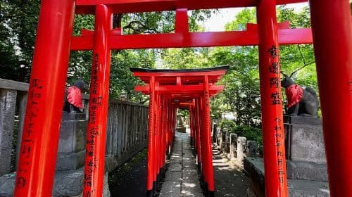 Tokio: Yanaka y Ueno, – Tour guiado por el Tokio de la tradición
