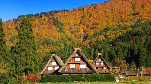 Tour per person | World Heritage Hida Takayama + Shirakawa-go Gassho Village | Departs from Nagoya