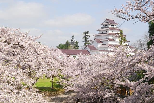 Zamek Tsurugajo (Zamek Aizu-Wakamatsu)