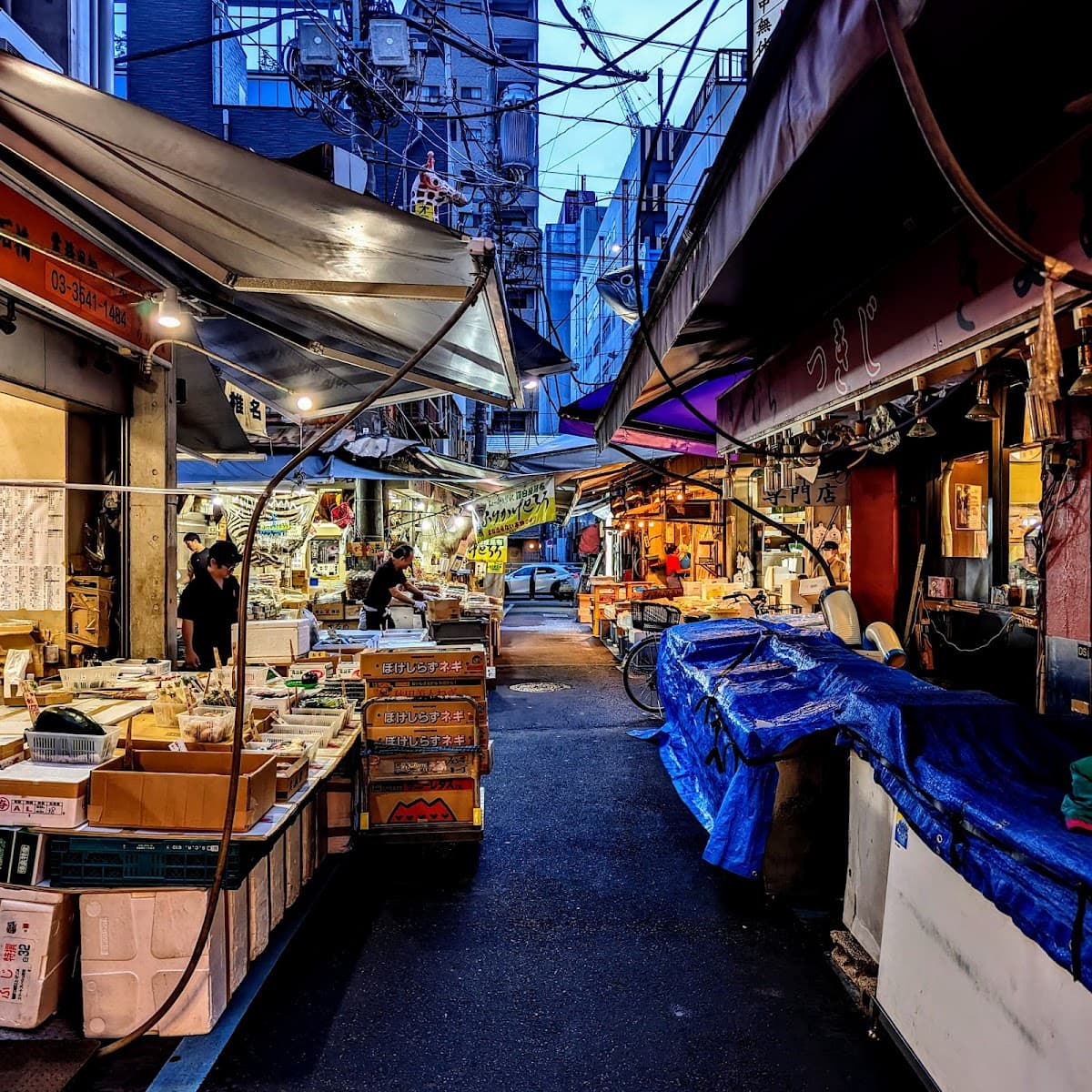 Tsukiji Outer Market Tour