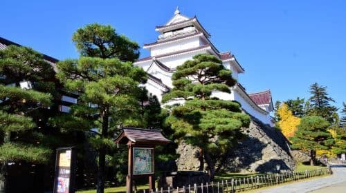 Tsurugajo Castle