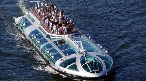 Ueno Park + Sensoji Temple + Mirai Water bus Sightseeing + Odaiba one-day tour[private charter Day Tour]