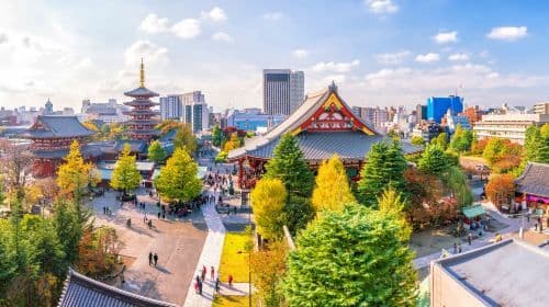 Ueno Park + Sensoji Temple + Mirai Water bus Sightseeing + Odaiba one-day tour[private charter Day Tour]