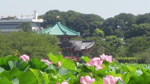 Ueno Park + Sensoji Temple + Mirai Water bus Sightseeing + Odaiba one-day tour[private charter Day Tour]