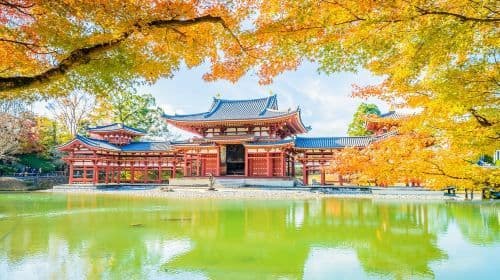 Degustazione di matcha a Uji + incontro con i cervi di Nara, tour premium per piccoli gruppi di 9 persone, approfondimento culturale da Kyoto/Osaka