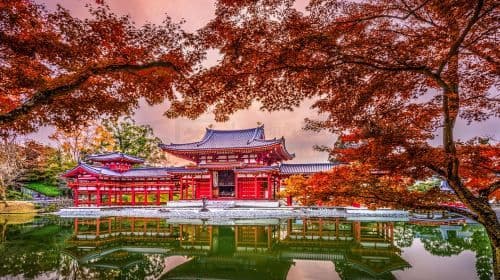 Degustación de matcha en Uji + alimentación de ciervos en Nara, tour premium en grupo pequeño de 9 personas, tour cultural en profundidad desde Kioto/Osaka