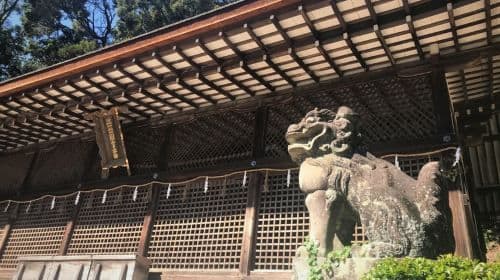 Uji: Privé-tour van de thee- en religieuze cultuur van Kyoto