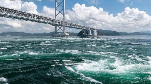 Excursiones de un día en el Uzushio Cruise