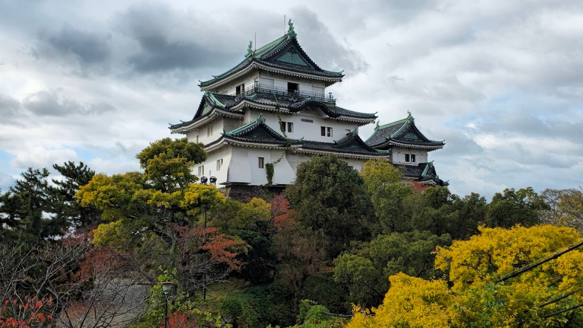 Wakayama City Pass