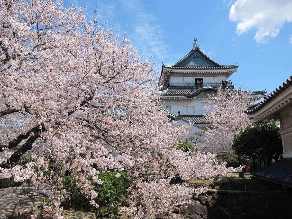 Wakayama City Pass