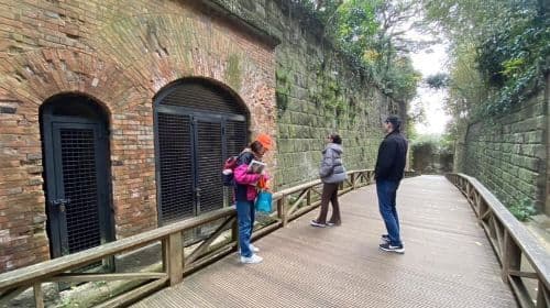 Yokosuka: gita in barca verso un'isola naturale e crociera nel porto navale