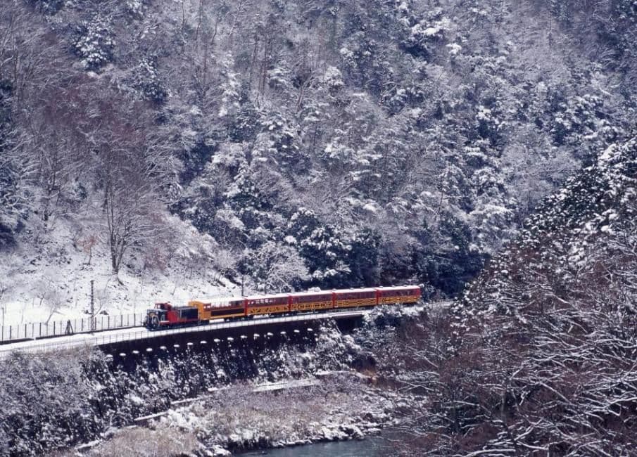 [Arashiyama Half-Day Tour from Torokko Saga Station] Arashiyama Train & Hozu River Cruise & Kyobasha Carriage
