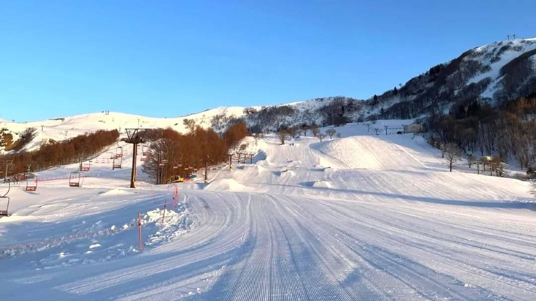 [Japan Hyogo Hachi Kogen Ski Resort 1-day tour] Suitable for both beginners and advanced skiers