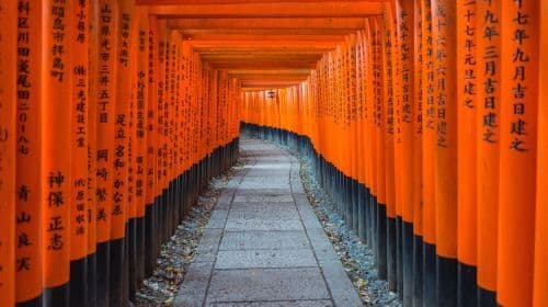 [Wycieczka jednodniowa: Kioto, Nara i Uji] Park Nara + Fushimi Inari + Tōdai-ji + Matcha Street