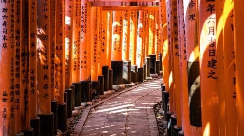 [Kyoto & Nara & Uji 1-Day Tour] Nara Park + Fushimi Inari + Tōdai-ji + Matcha Street Day Tours