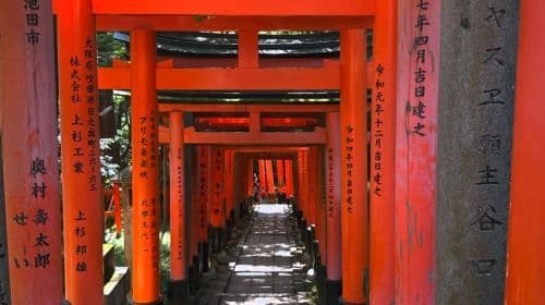 [Oferta ograniczona czasowo] Wycieczka jednodniowa: Osaka, Kioto + Park Nara + Arashiyama + Fushimi Inari Taisha