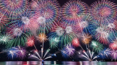 [Excursion d'une journée au festival de feux d'artifice d'Oarai] Rencontrez des feux d'artifice romantiques et une mer de fleurs onirique lors d'une excursion d'une journée