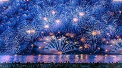 [Excursión de un día al Oarai Sea Fireworks Festival] Encuentro con fuegos artificiales románticos y un mar de flores de ensueño en una excursión de un día