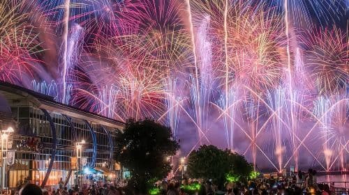 [Excursión de un día al Oarai Sea Fireworks Festival] Encuentro con fuegos artificiales románticos y un mar de flores de ensueño en una excursión de un día