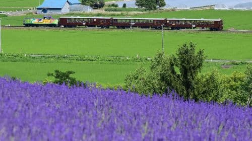 [Officiële Ticket] JR PASS Hokkaido Rail Pass (elektronische inwisselvoucher) Vervoerspassen