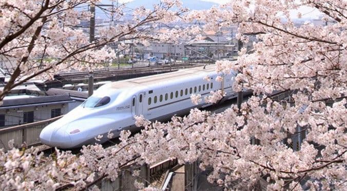 [공식 티켓] JR PASS Kansai Wide Area Railway Pass 5일권 (E-교환권)