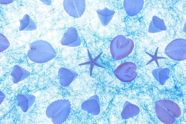 [Okinawa] Kouri Ocean Tower