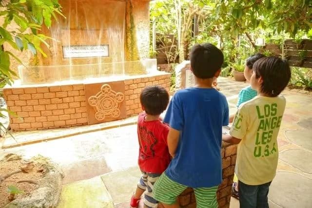 [Okinawa] Okinawa Fruits Land